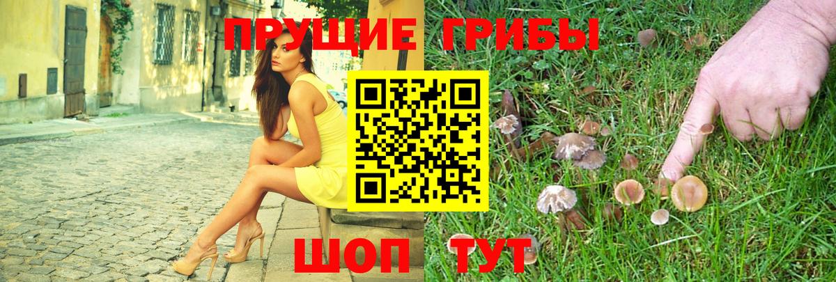 Кувандык  хочу наркоту  Вход с VPN  Галлюциногенные грибы ЛСД 