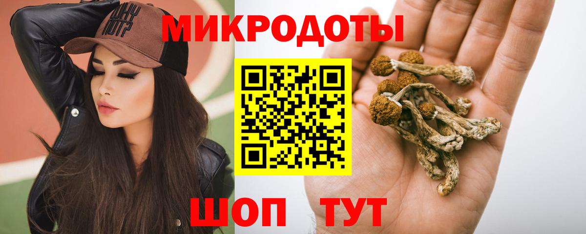 Псилоцибиновые грибы GOLDEN TEACHER Кувандык