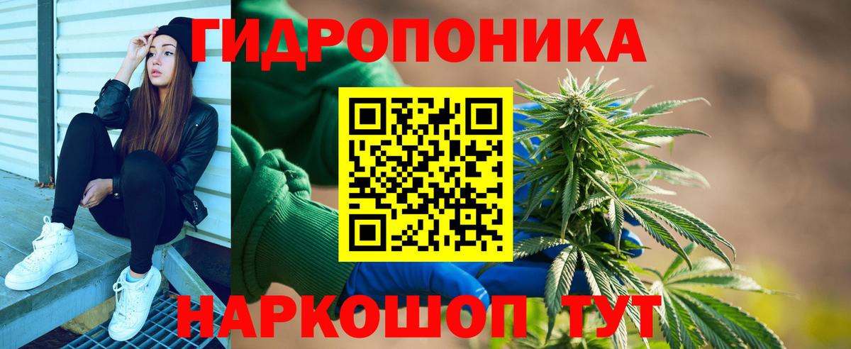 Бошки марихуана VHQ  Вход с VPN  Шишки марихуана сатива  Кувандык  Шишки марихуана индика 